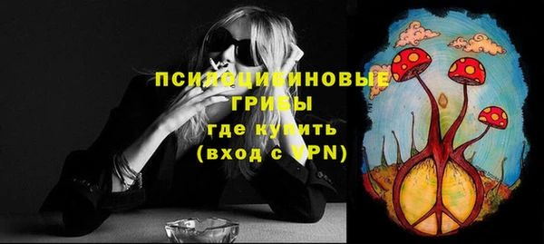 сатива Арсеньев
