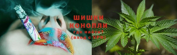 трава Армянск