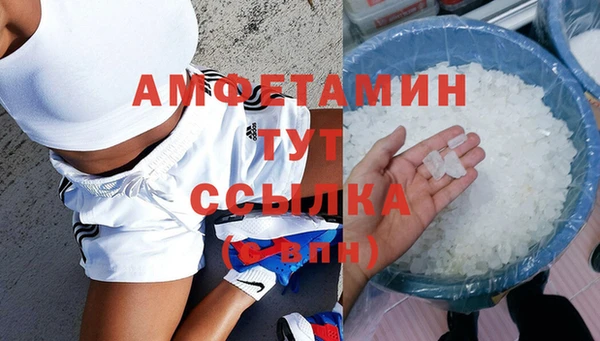 сатива Арсеньев