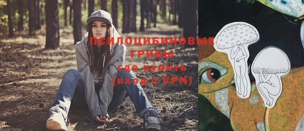 трава Армянск