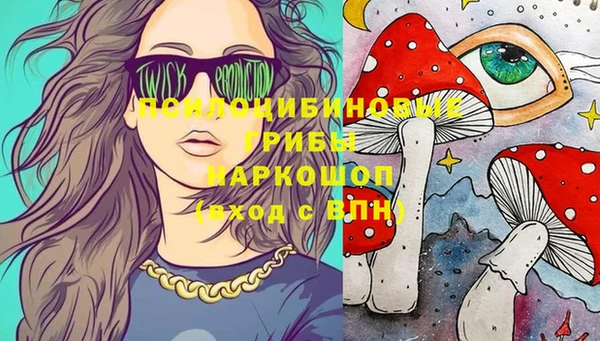 сатива Арсеньев