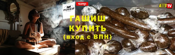 сатива Арсеньев