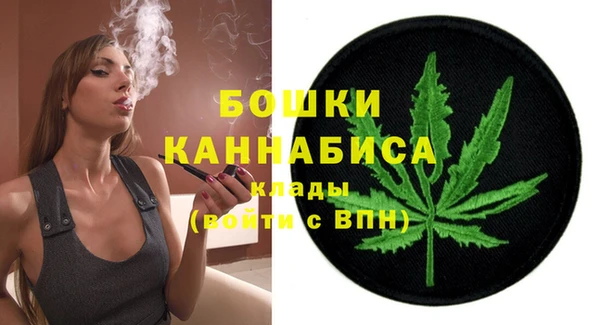 сатива Арсеньев