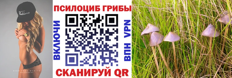 mega ссылка Райчихинск Галлюциногенные грибы GOLDEN TEACHER